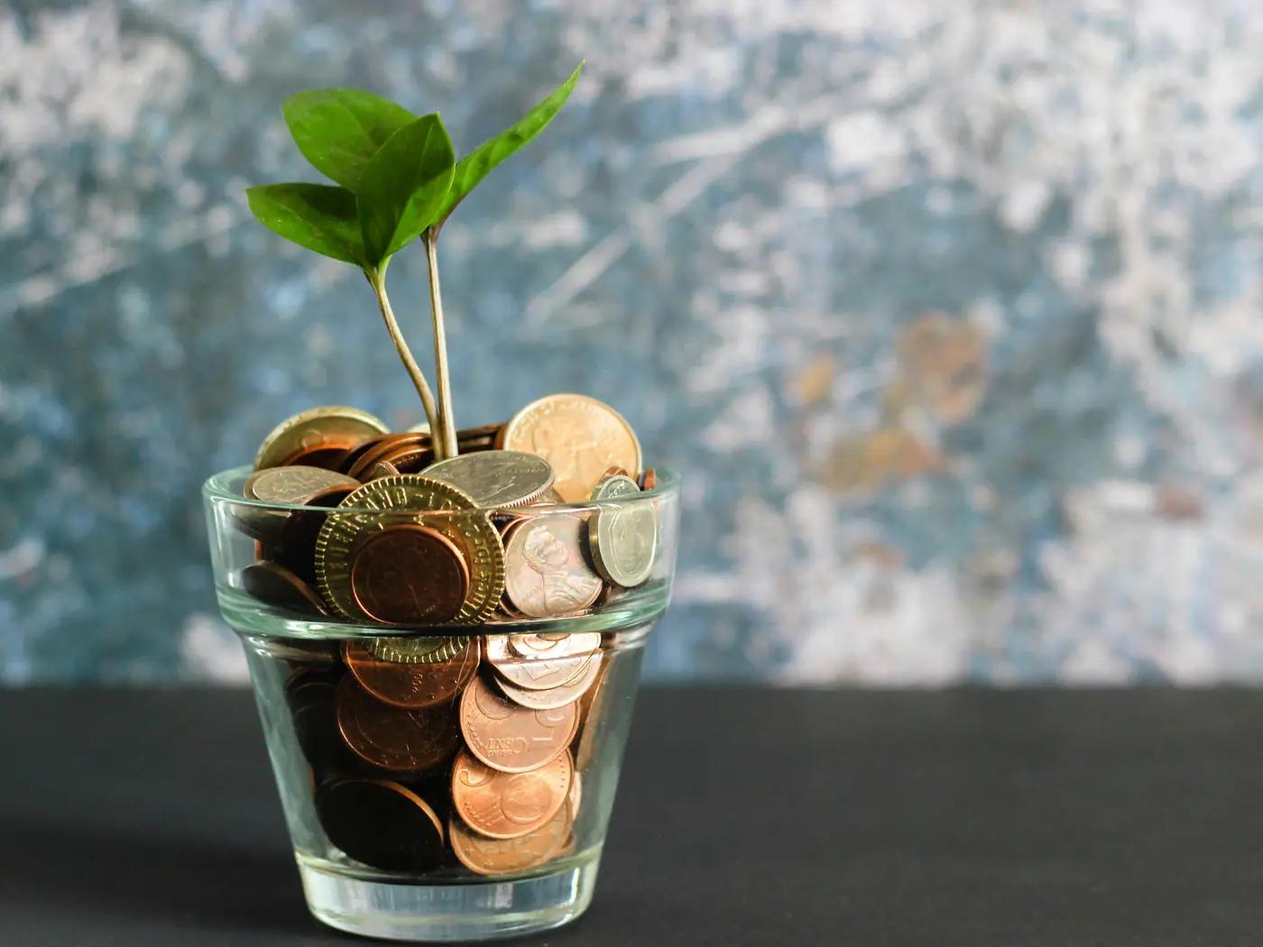 Jeune pousse sortant d'un verre rempli de pièces, symbole d'investissement et de croissance
